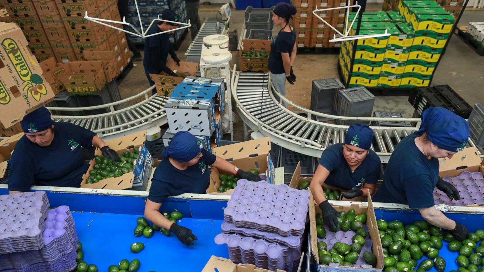 Avocados, tequila and other iconic Mexican products are jeopardized by Trump's tariff threats