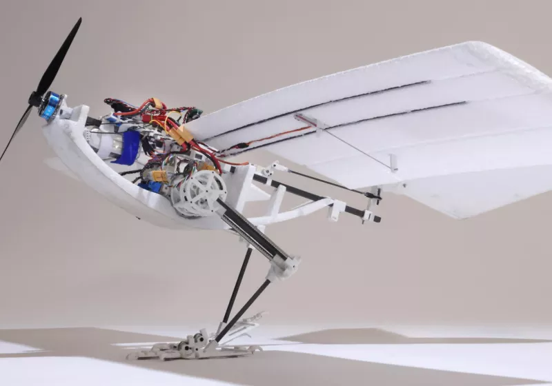 This bird-inspired drone is more energy efficient and proficient at complex flight maneuvers