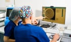 Limit on human embryo research should be extended to 28 days, says regulator