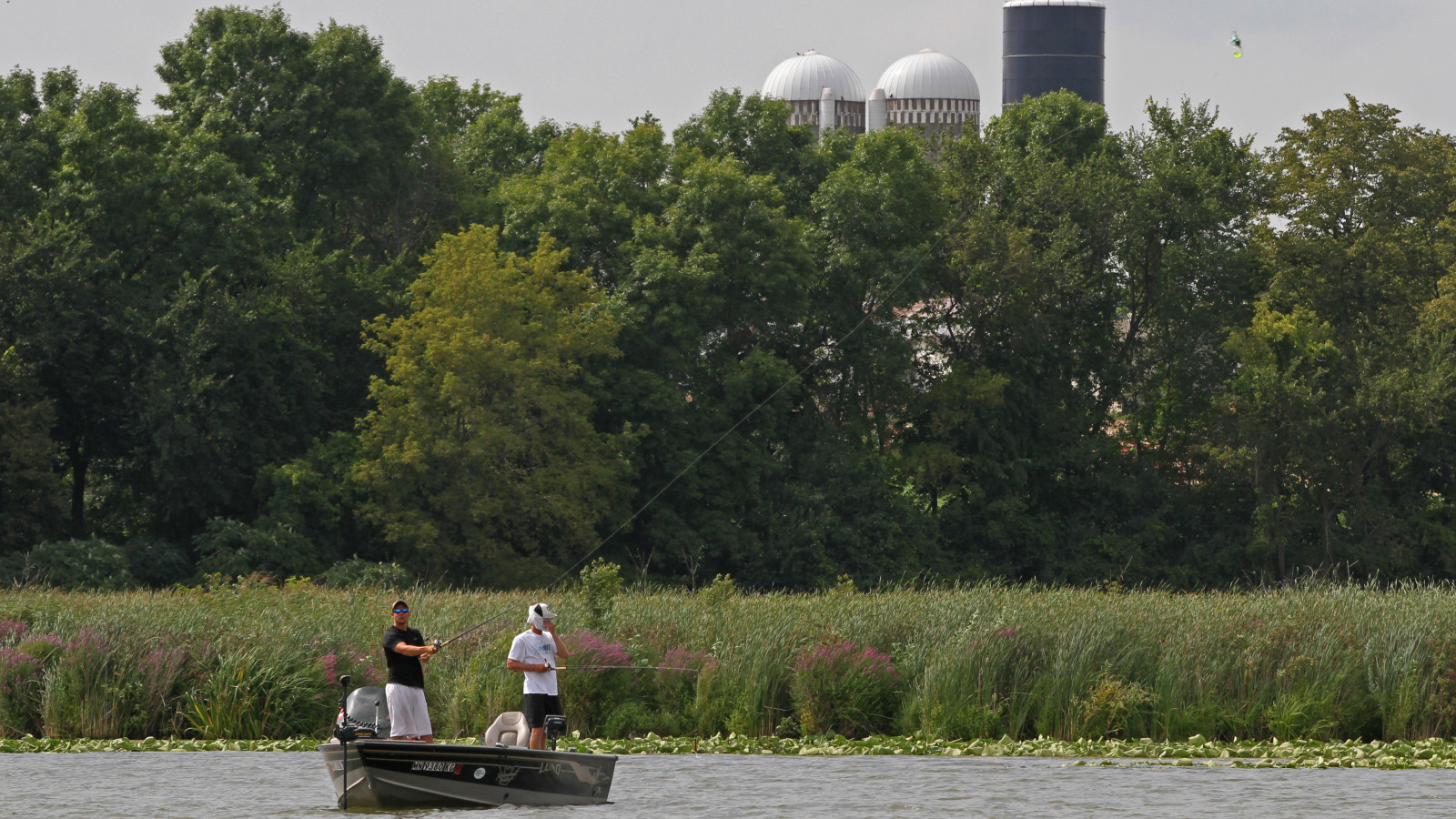 Protection of wetlands could come down to farmers, says a new report