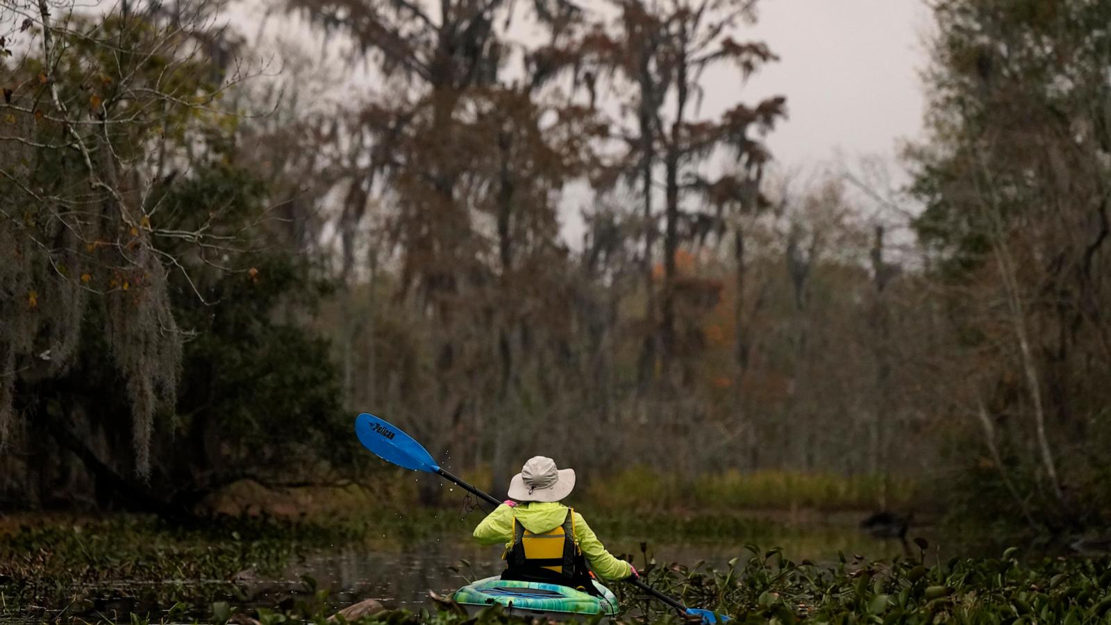 To save a dying swamp, Louisiana aims to restore the Mississippi River's natural flow