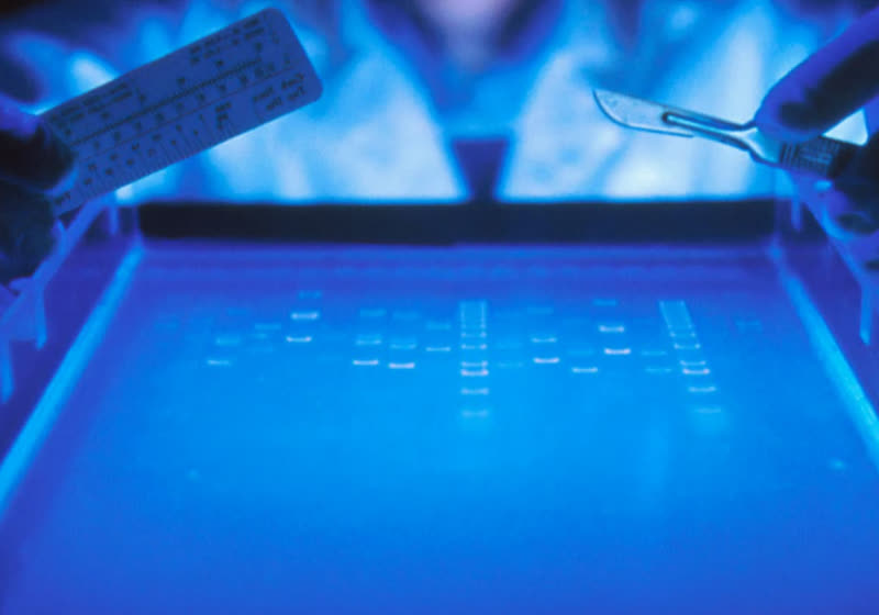 DNA testing firm 23andMe files for bankruptcy, CEO Anne Wojcicki resigns