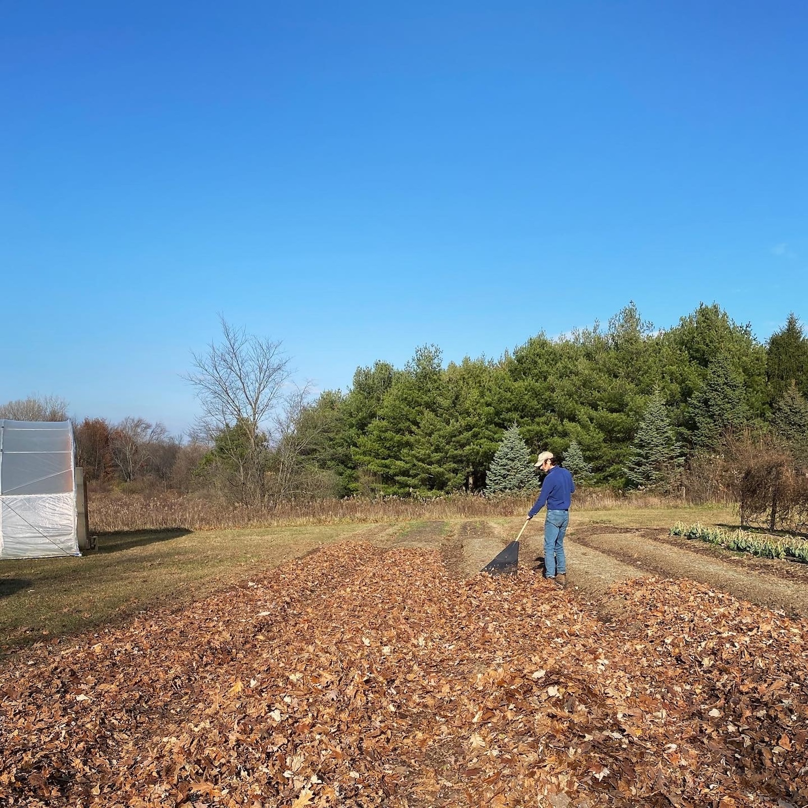 Farmers and small business owners were promised financial help for energy upgrades. They’re still waiting for the money.