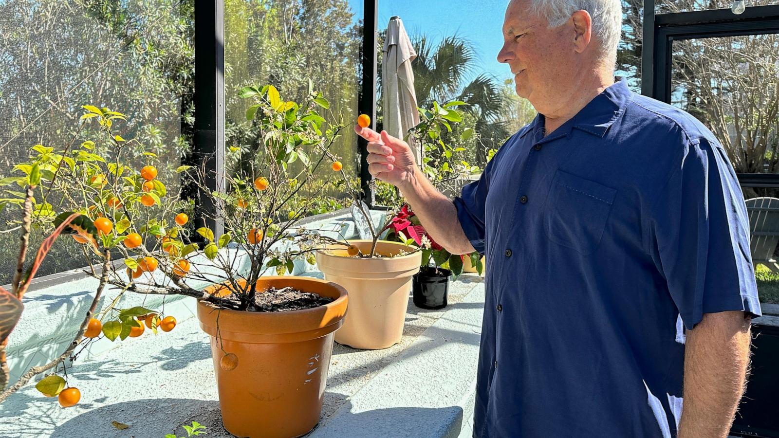 How a touristy Florida beach town dubbed 'the nation's oldest city' became a top US remote work hub