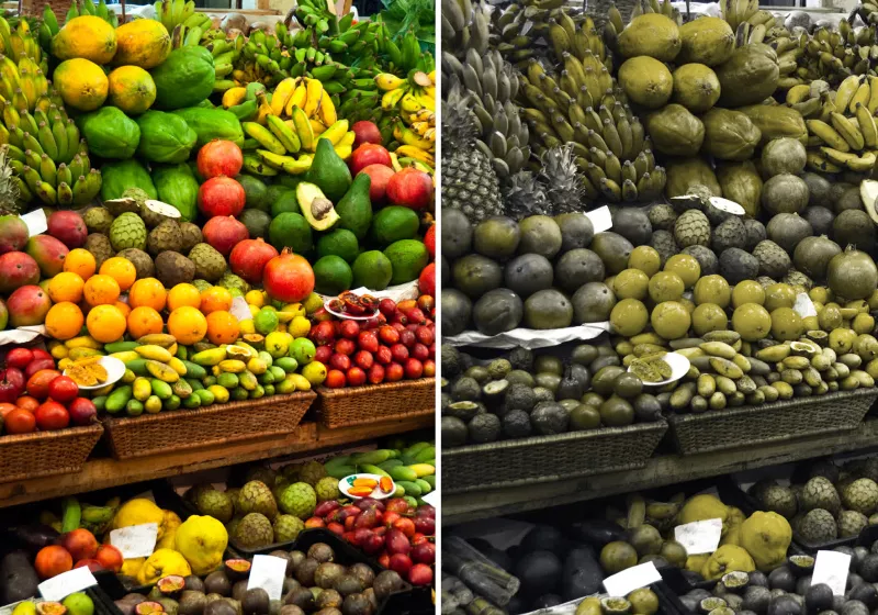 Ubisoft Chroma helps developers simulate color blindness across all game engines