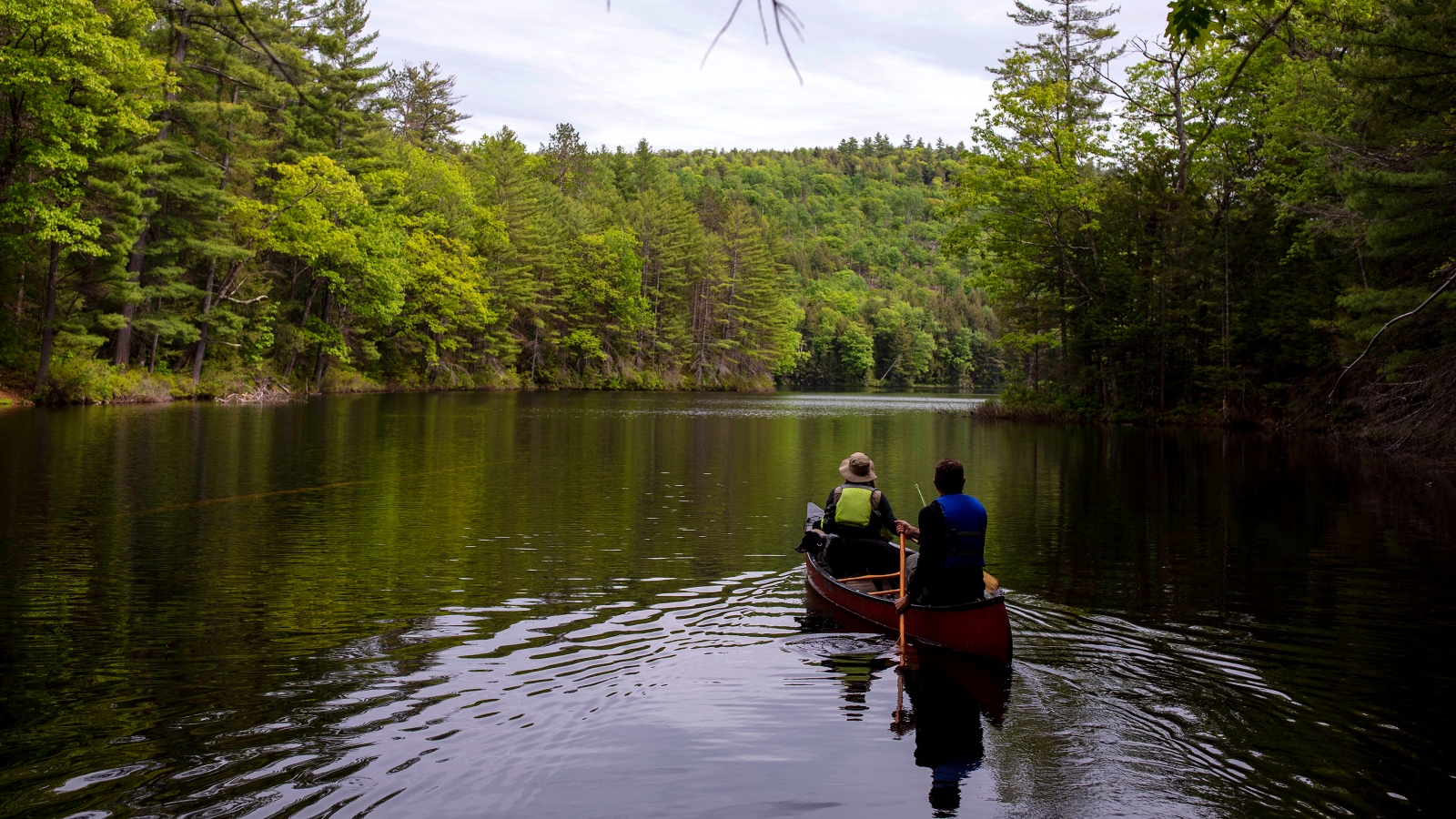 The Trump administration’s push to privatize US public lands