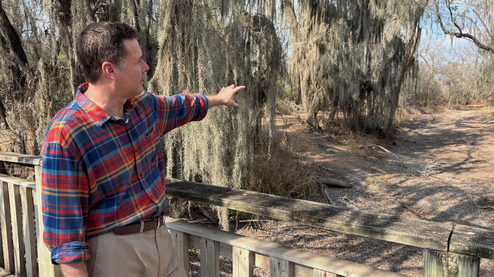 The Rio Grande Valley was once covered in forest. One man is trying to bring it back.