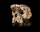 The curse of Toumaï: an ancient skull, a disputed femur and a bitter feud over humanity’s origins