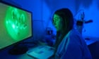 GM mosquitoes: inside the lab breeding six-legged agents in the war on malaria