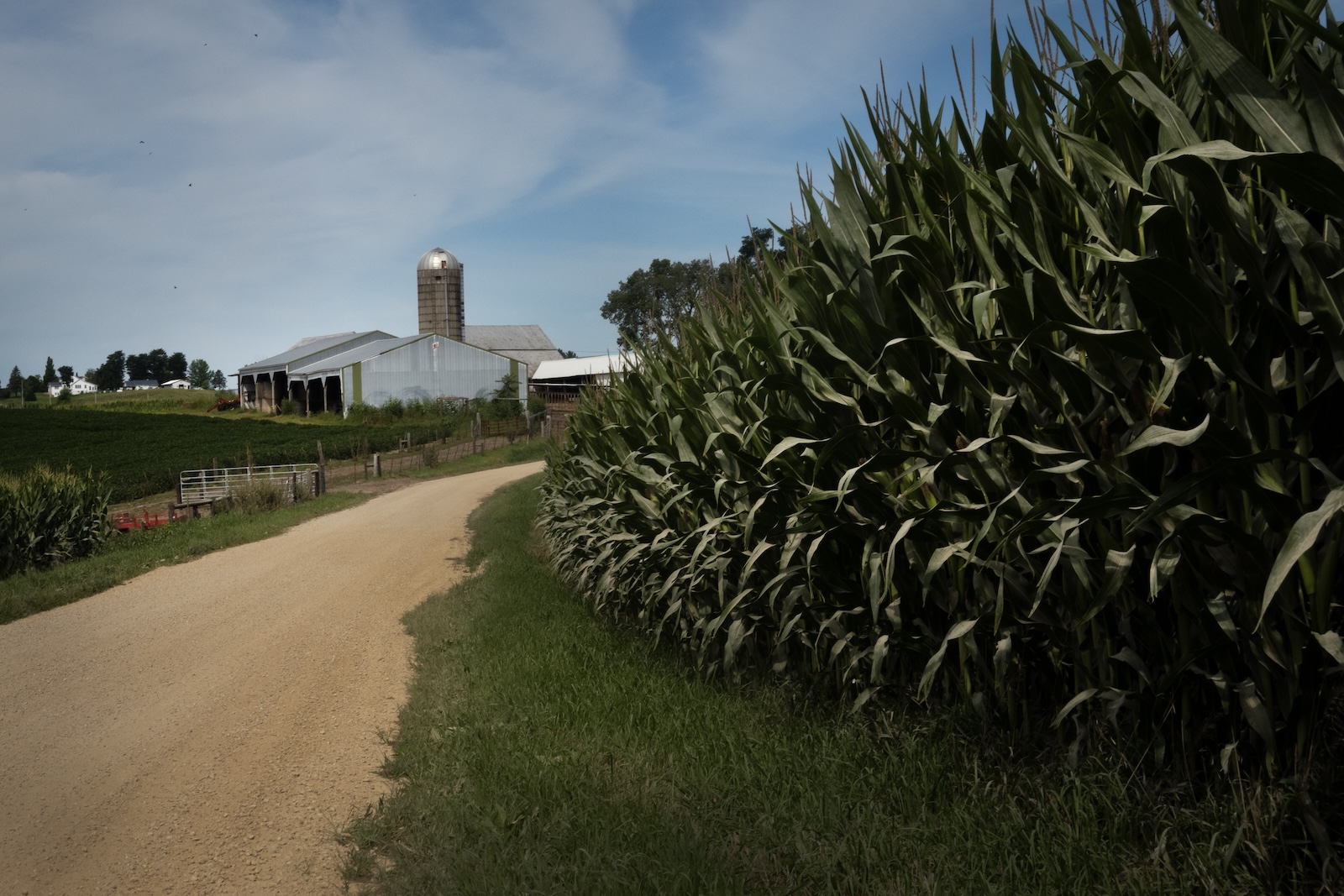 How Big Ag thwarted wetlands protections in Illinois and Iowa