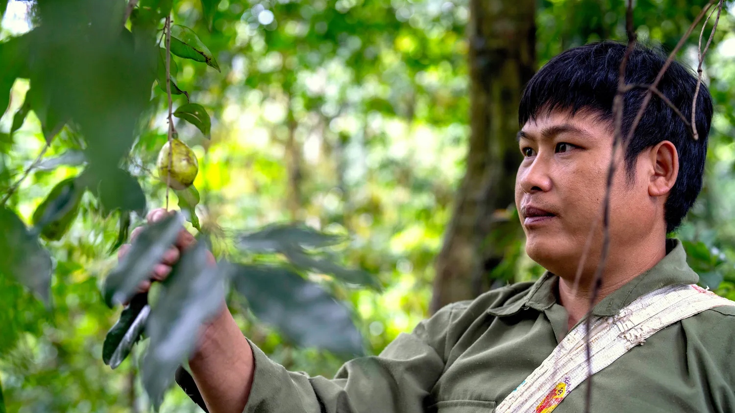 USAID cuts are hitting global conservation projects hard