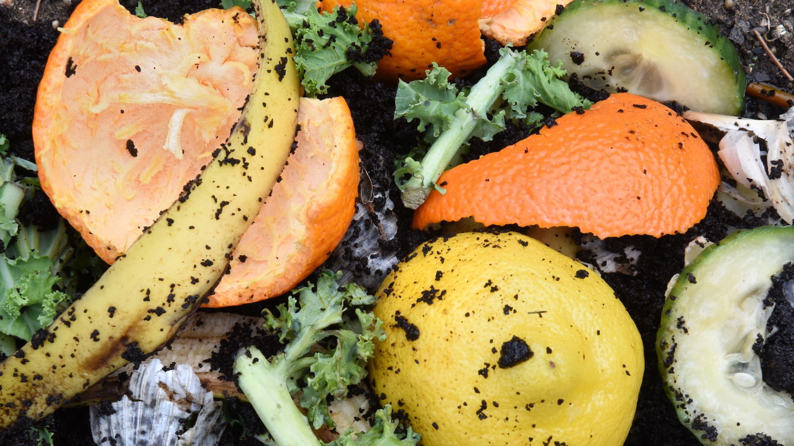 An $18M grant would have drastically reduced food waste. Then the EPA cut it.