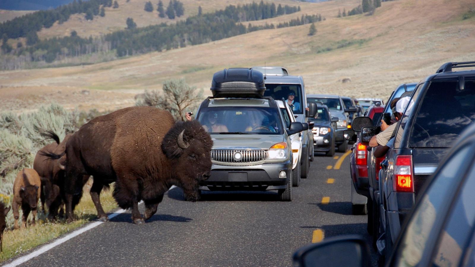 Idaho police release the names of 6 tourists killed in Yellowstone crash