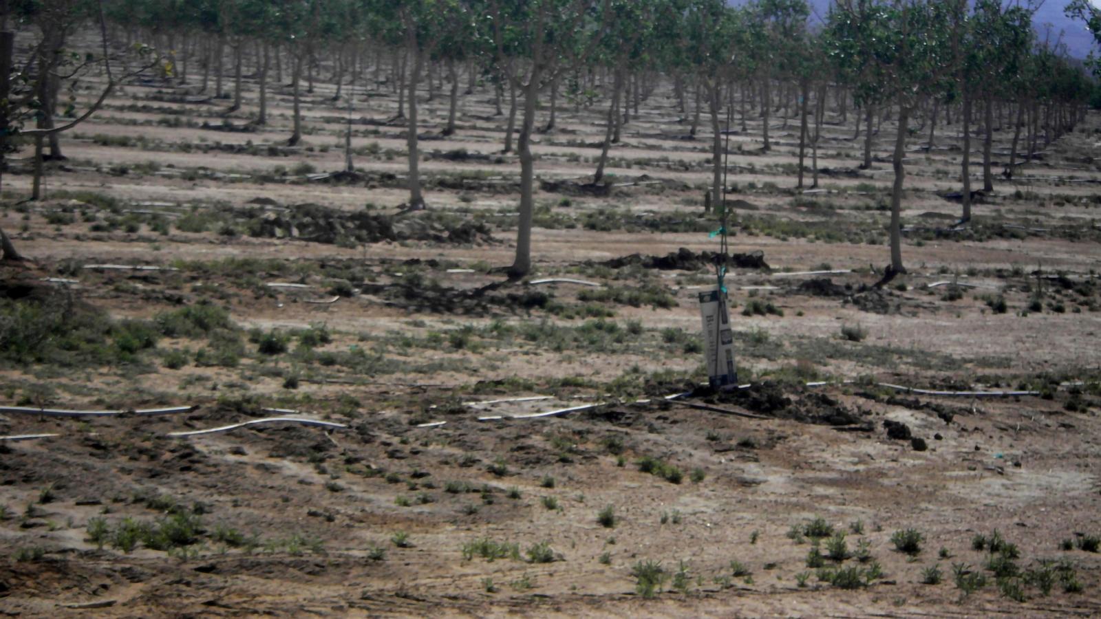 Arizona's rural groundwater deal stalls as legislative session nears end
