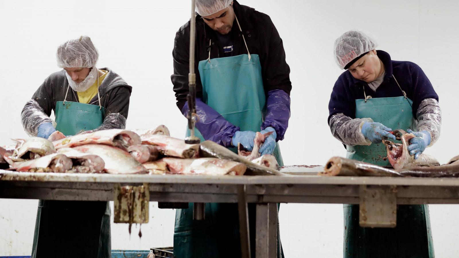 Trump administration promises Illinois it will pay to keep carp out of the Great Lakes