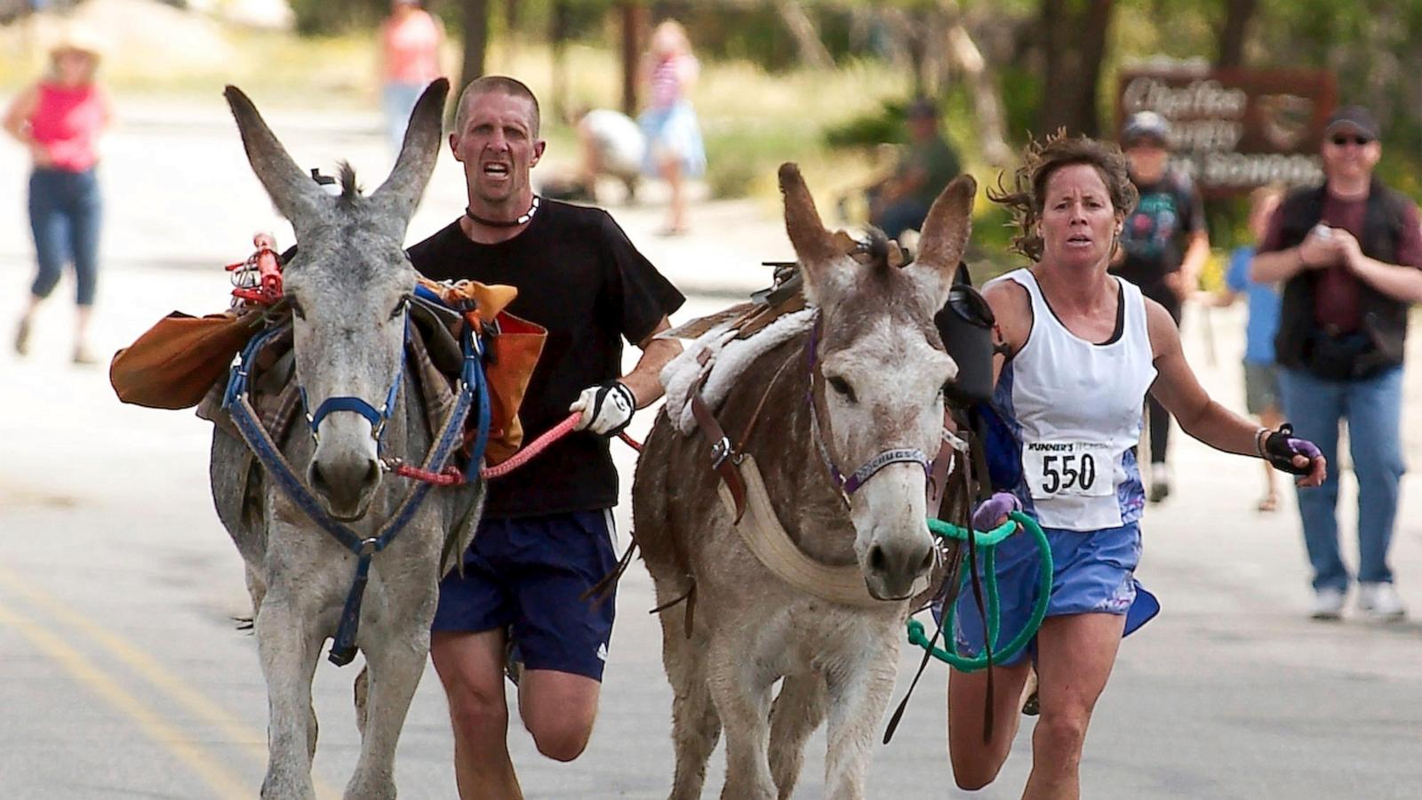 Backcountry runners embrace the thrill of racing with burros in New Mexico
