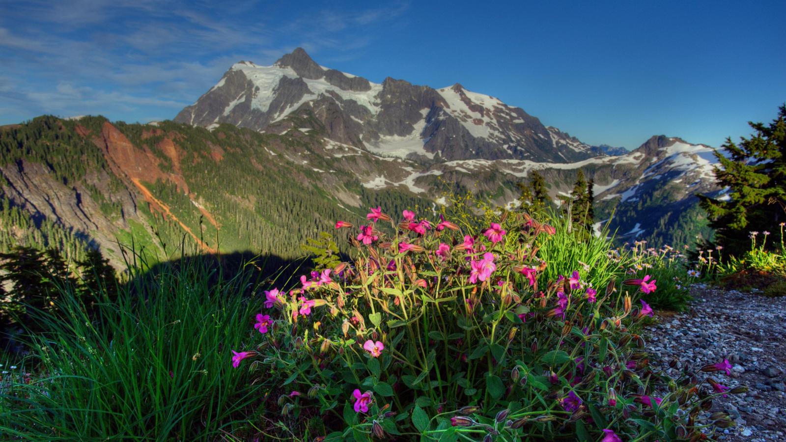 Three climbers fell 400 feet to their death. One climber survived and went for help