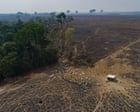 How to save the Amazon part one: the stakes – podcast