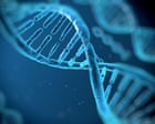 UK scientists to synthesise human genome to learn more about how DNA works