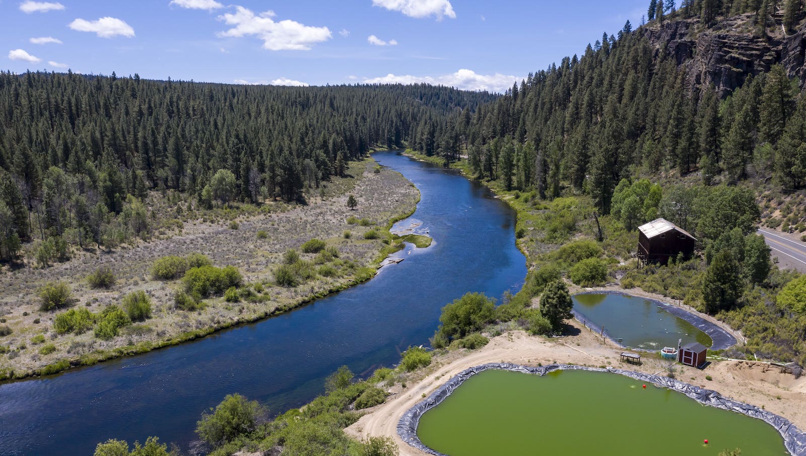 In California’s largest landback deal, the Yurok Tribe reclaims sacred land around Klamath River