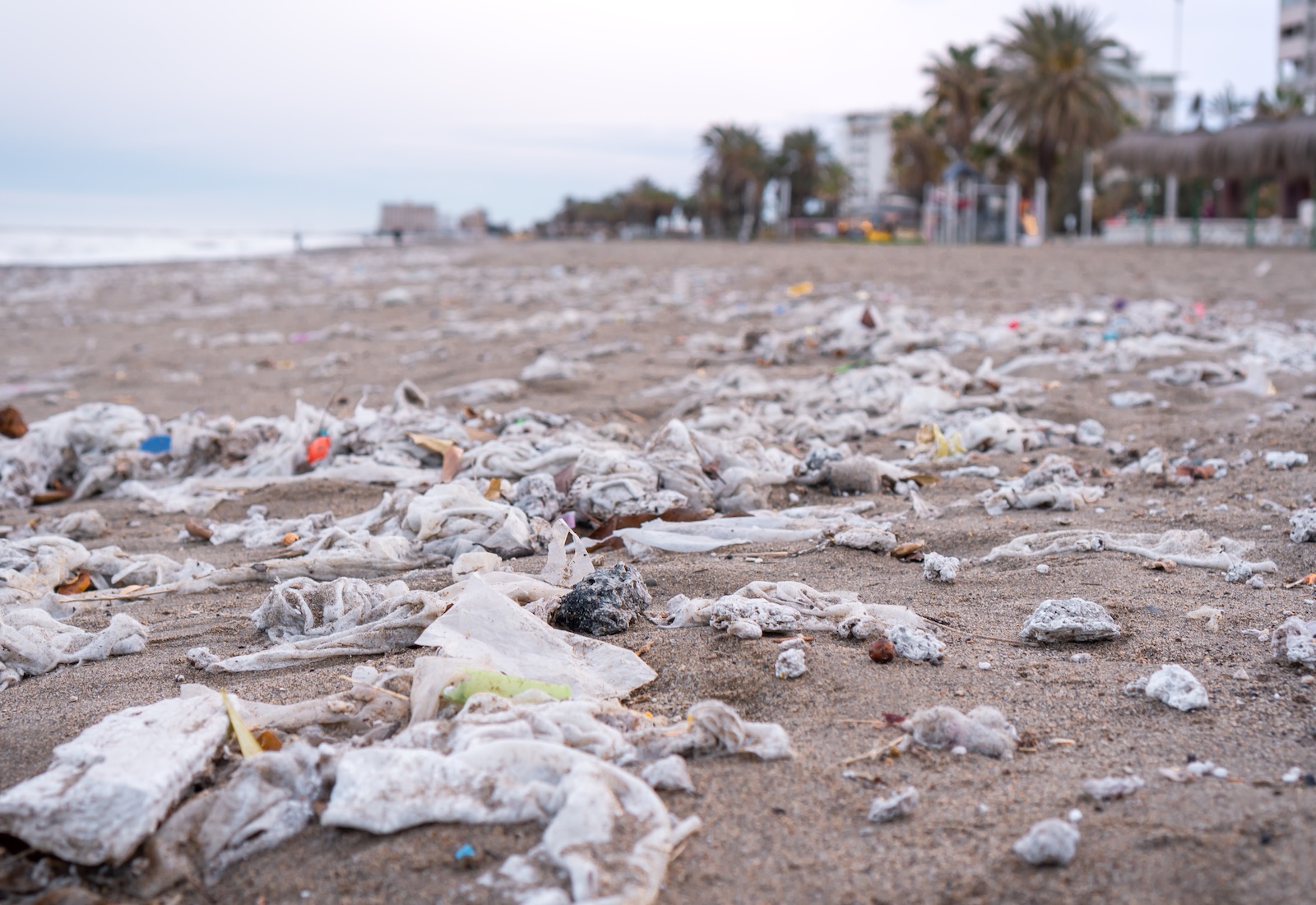 Science says plastic bag bans really do work