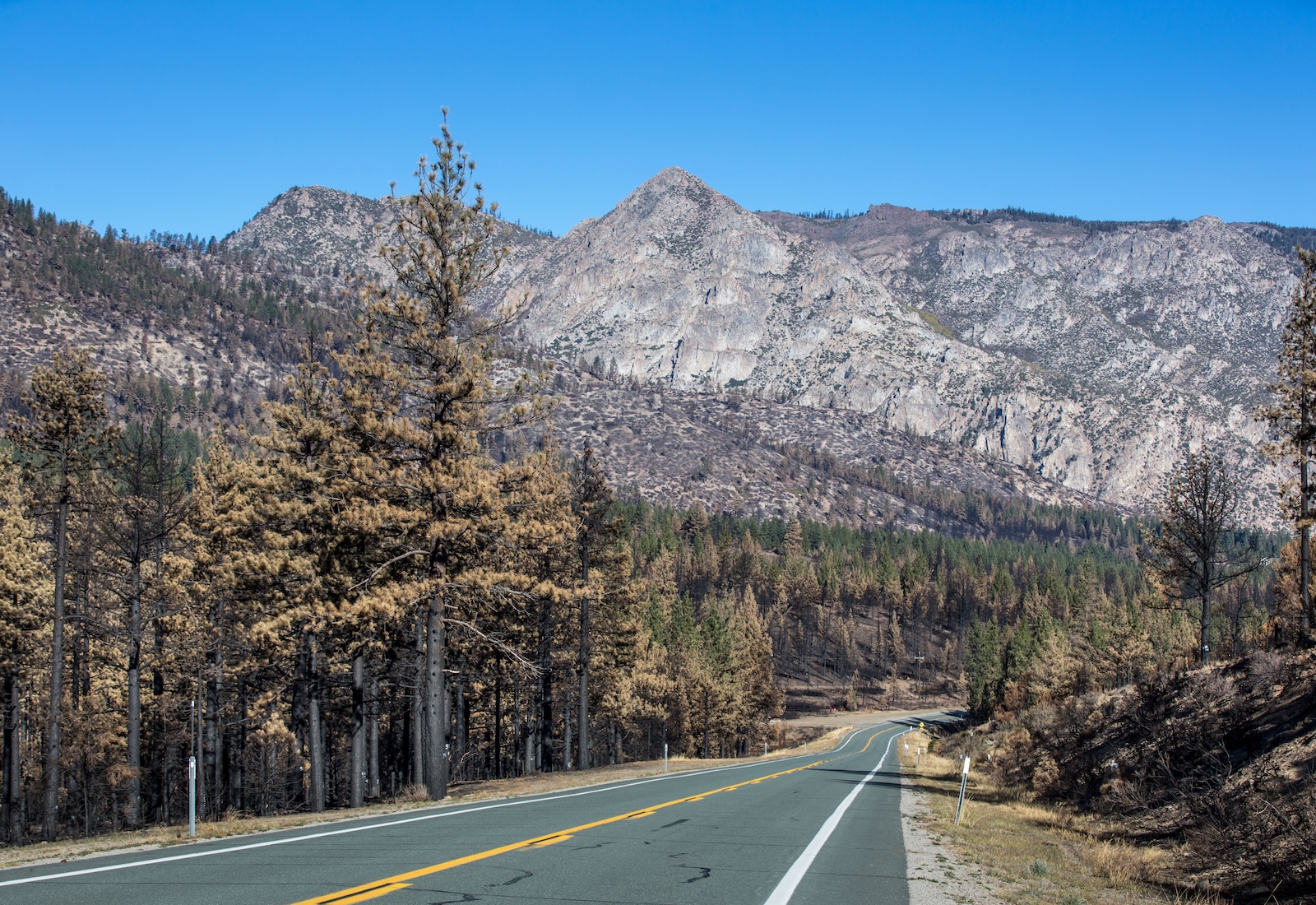 The Trump administration claims roads in forests prevent wildfires. Researchers disagree.