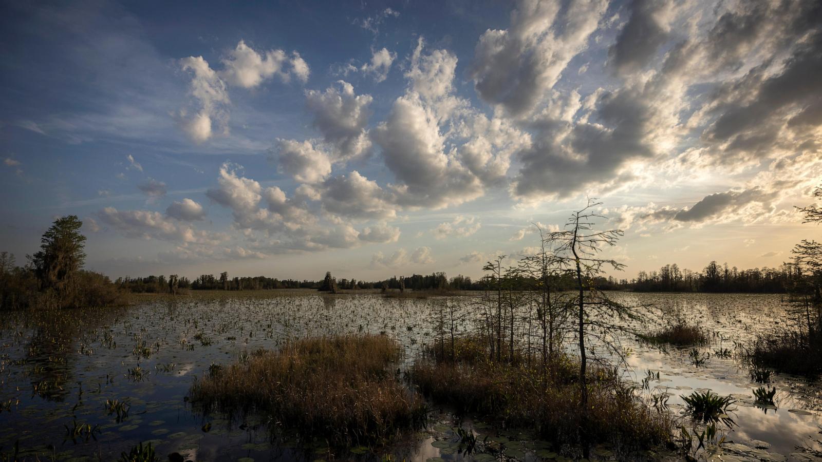 Mining project near Okefenokee Swamp stalled over $2M permit requirement
