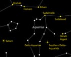 Starwatch: look out for the Delta Aquariids meteor shower