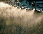 Weedkiller ingredient widely used in US can damage organs and gut bacteria, research shows