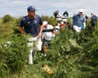 Feel v theory at the Open: MacIntyre and DeChambeau try to navigate Portrush chaos