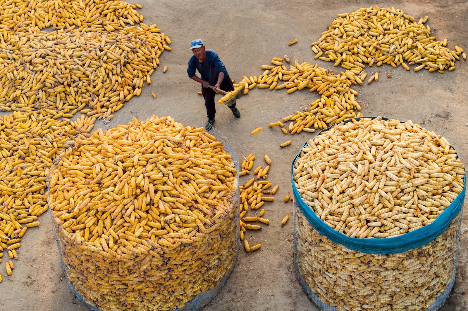 What does climate change mean for agriculture? Less food, and more emissions