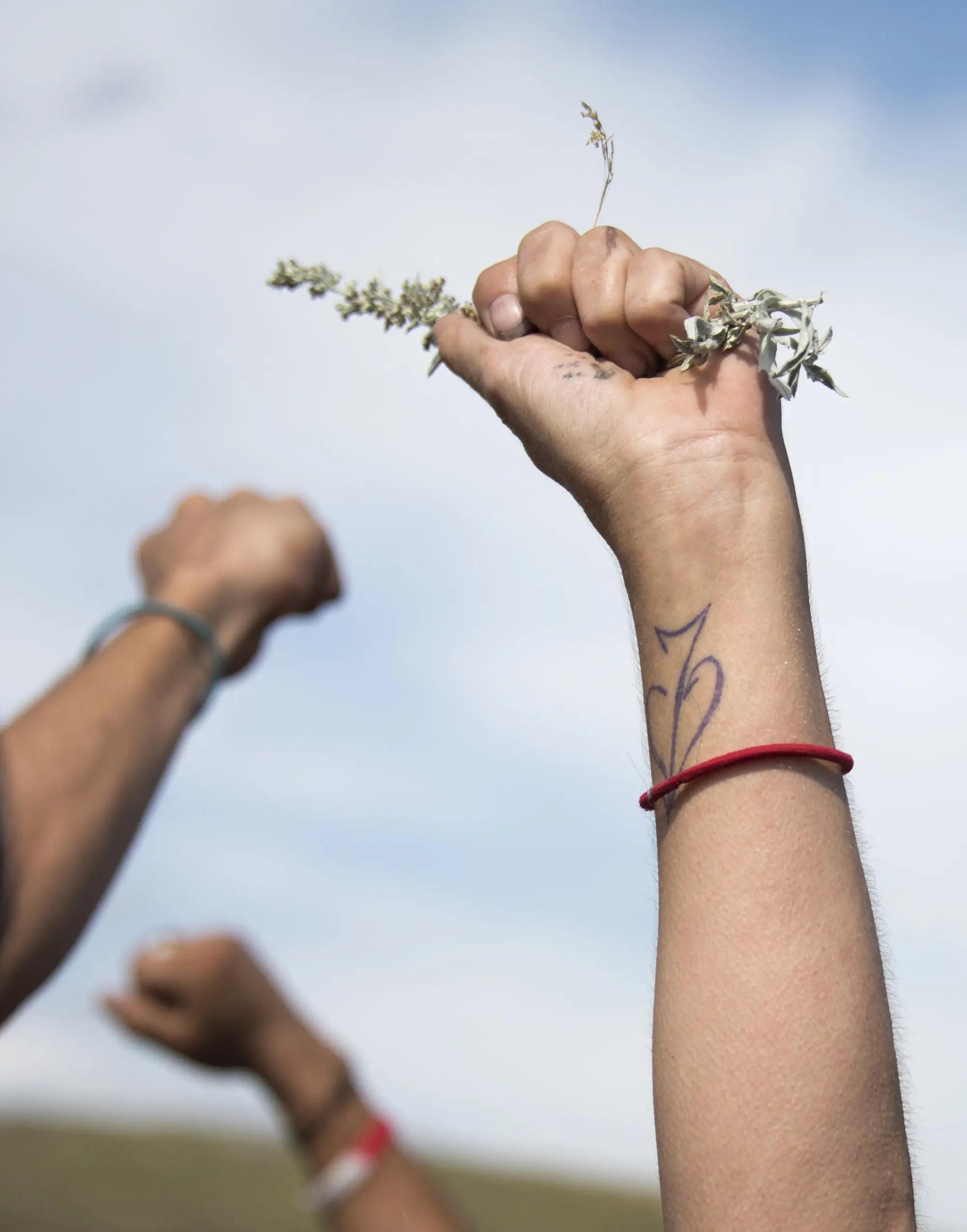 Standing Rock was an Indigenous-led movement. Why did Greenpeace take the fall?