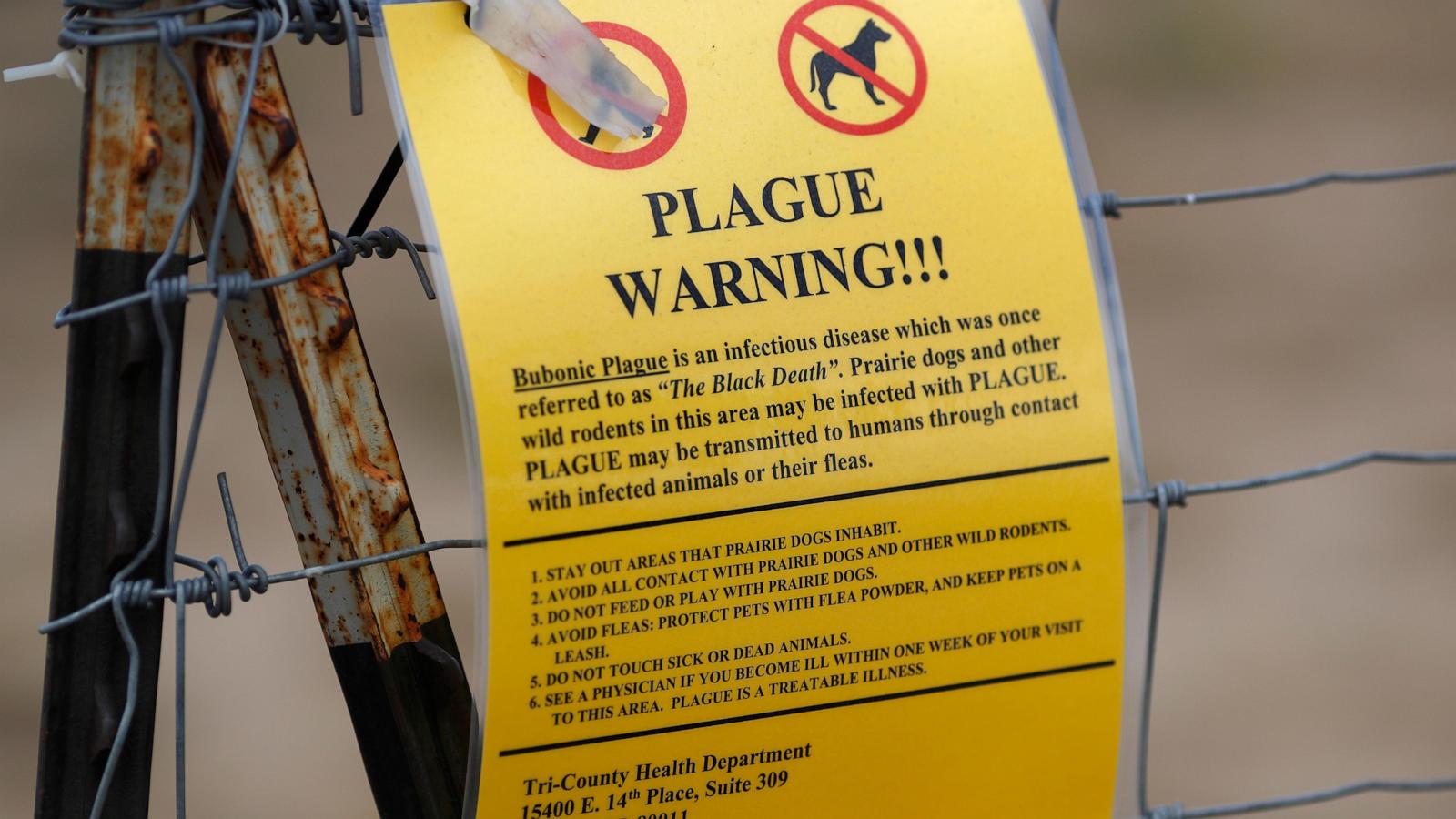 Northern Arizona resident dies from plague