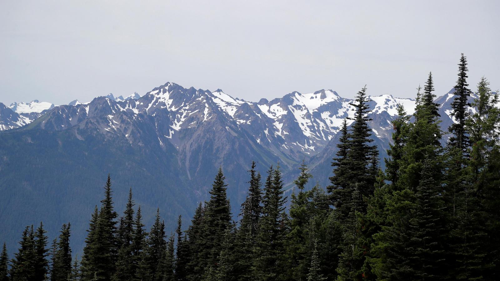 Mountain lion bites 4-year-old on popular Olympic National Park trail, injuring child