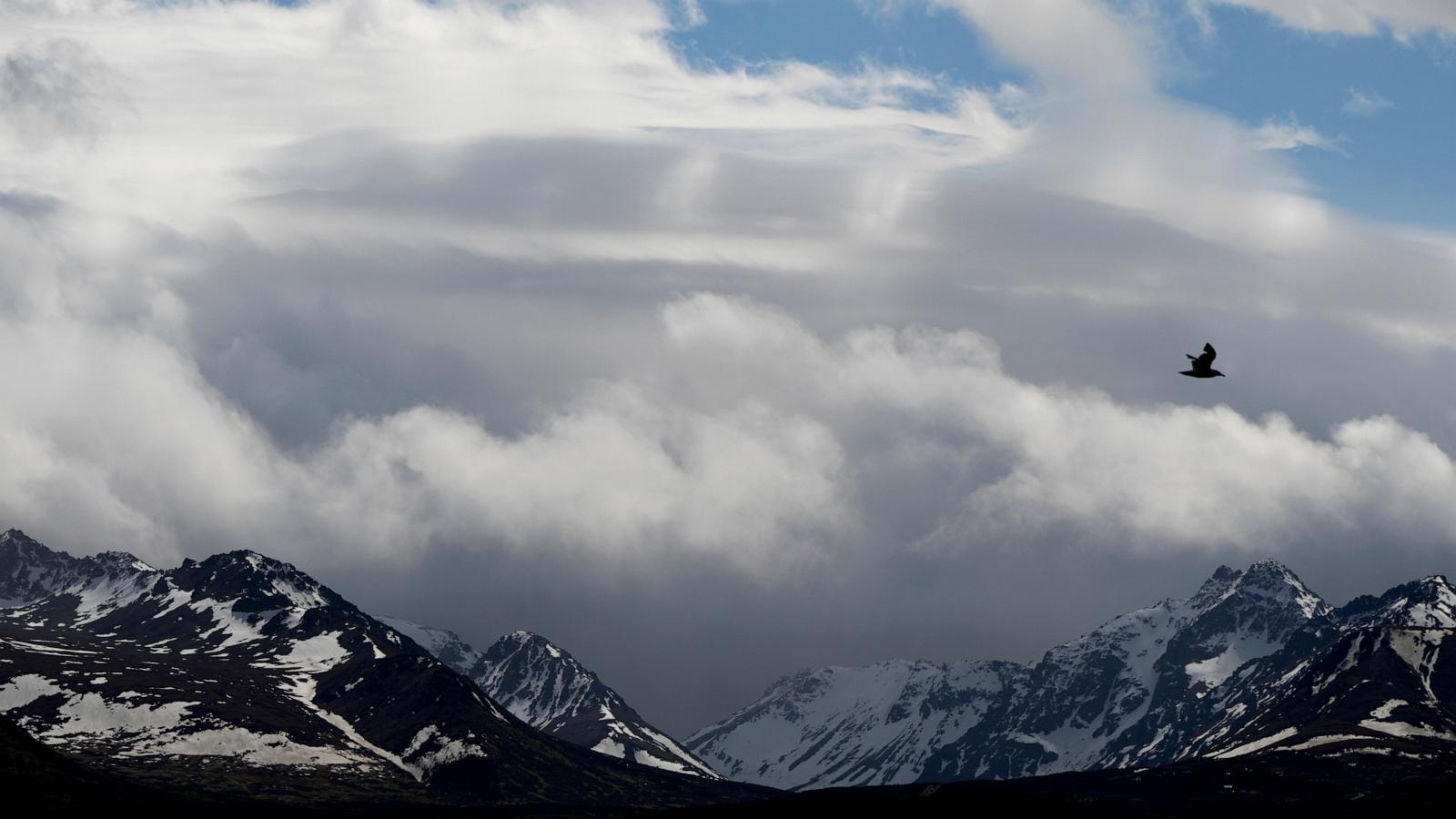 Officials search for bear that attacked a woman hiking on a popular Alaska trail