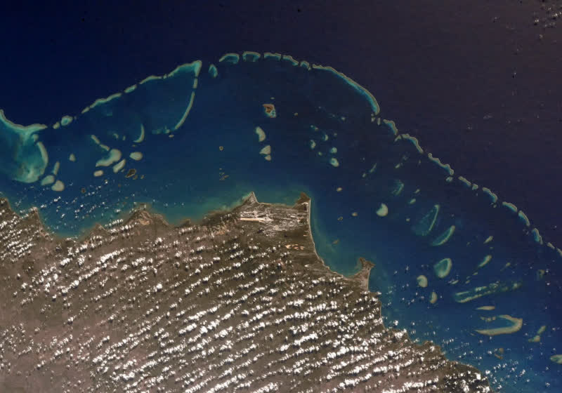 Australia's Great Barrier Reef suffers record coral loss after fifth mass bleaching event
