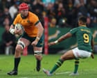 Wallabies break South Africa’s aura of invincibility in win that asks: is Australian rugby back?