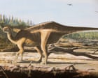 New species of dinosaur with ‘eye-catching sail’ discovered on Isle of Wight