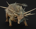 ‘Bristling with spikes’: oldest known ankylosaur fossil found in Morocco
