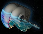 Beam me up, jellyfish: experts unveil spaceships to take us to the stars