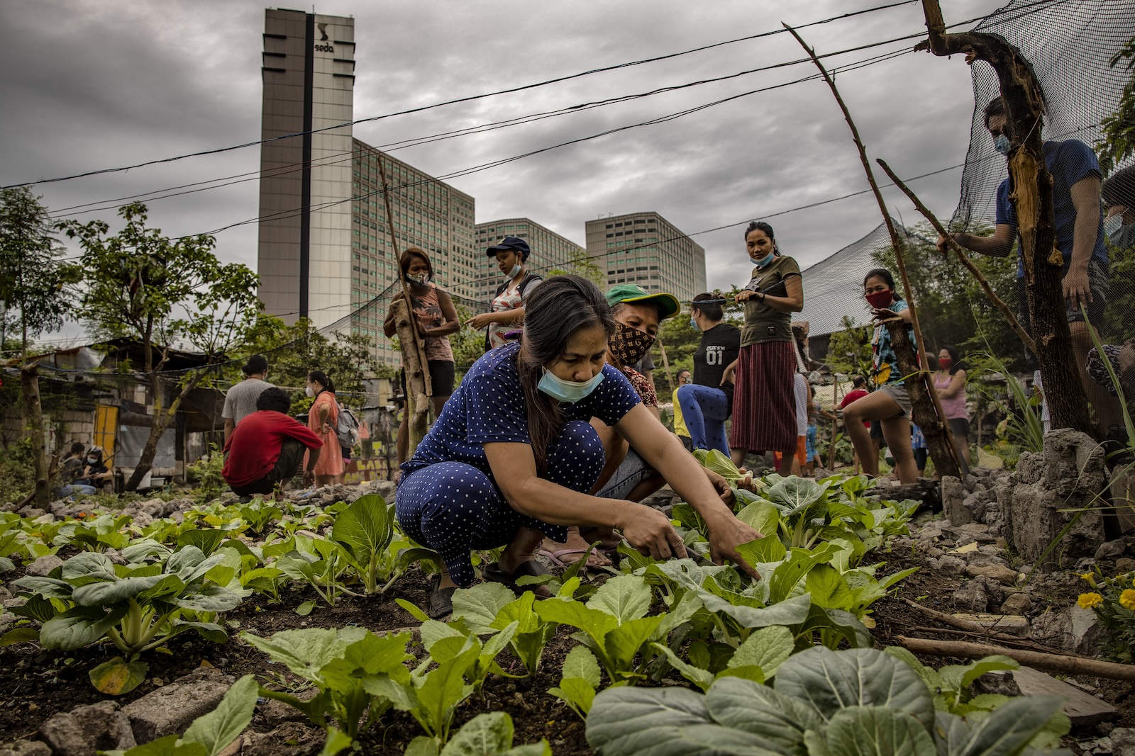 A new report shows how local climate activism leads to ‘remarkable’ gains