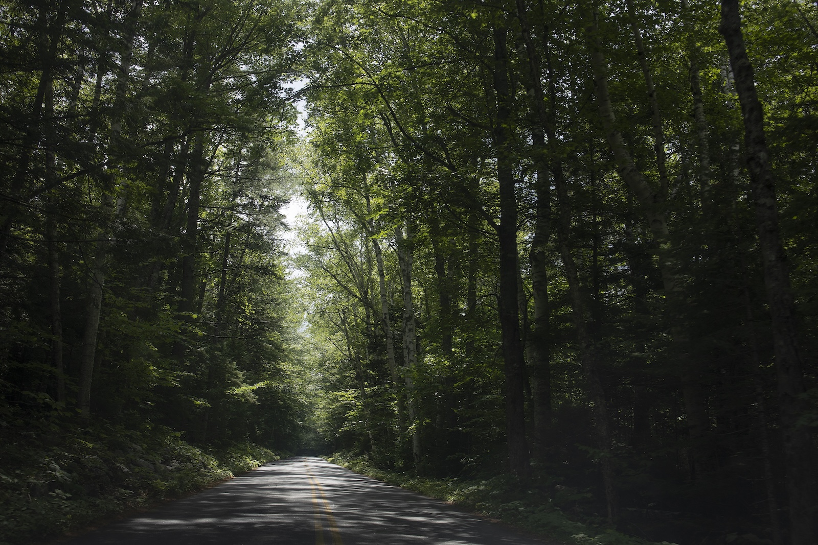 Food banks have long prevented emissions. Now they’re getting into the carbon credit business.