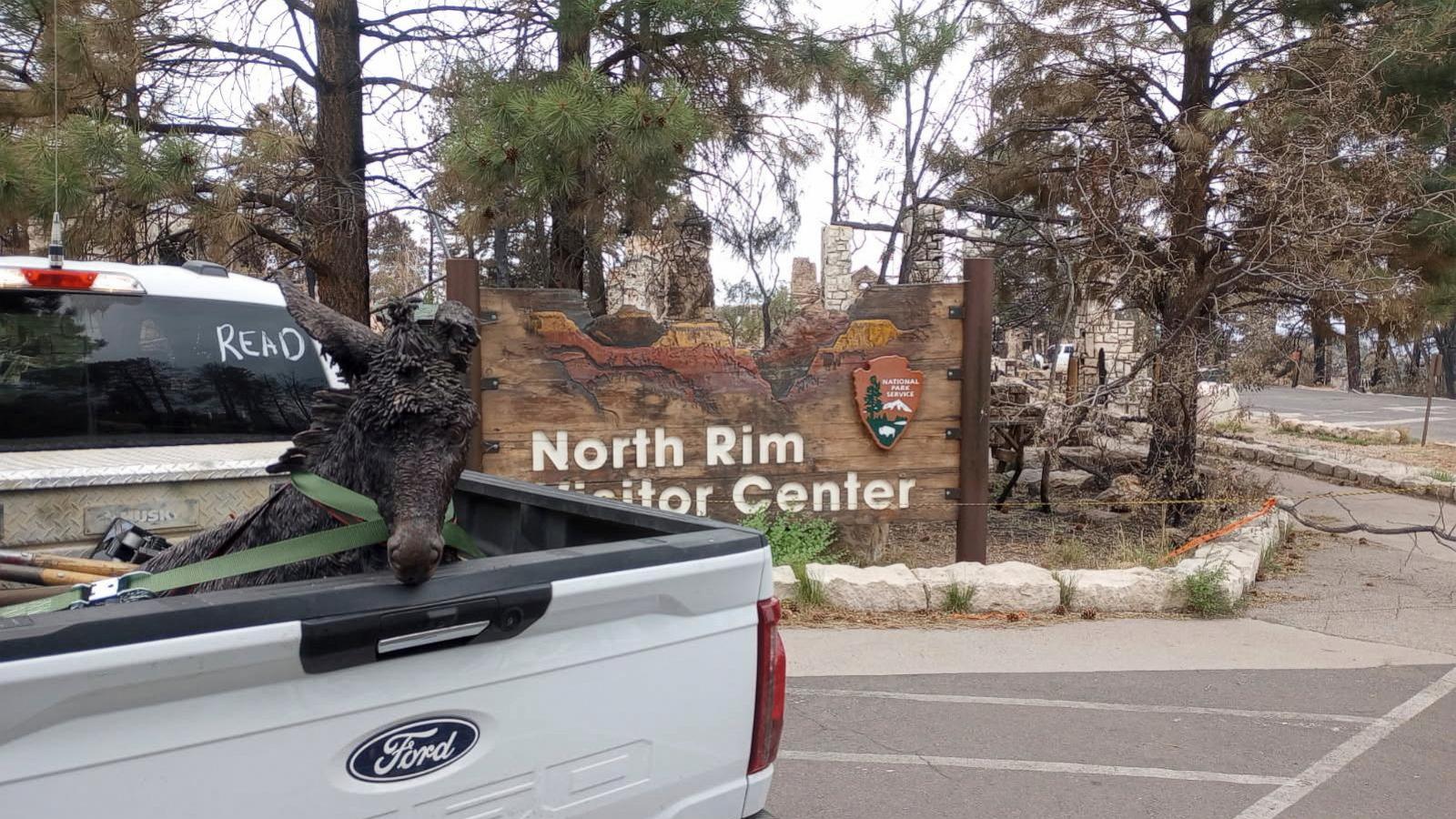 A Grand Canyon mascot is recovered from the rubble. Can Brighty the Burro be restored?