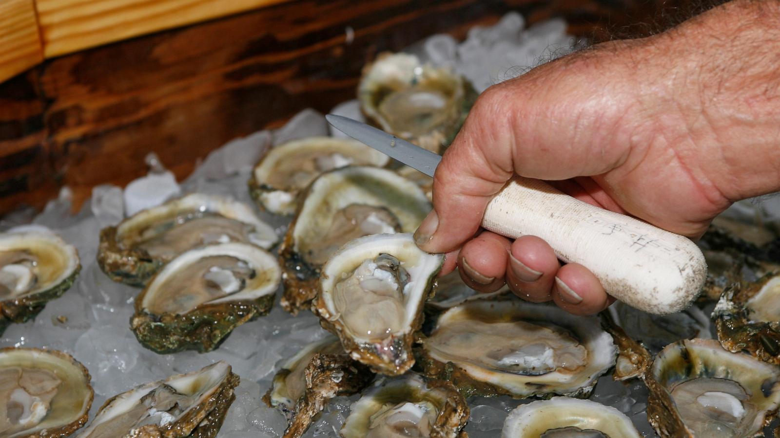 Florida wildlife officials consider reopening bay nationally known for its oysters