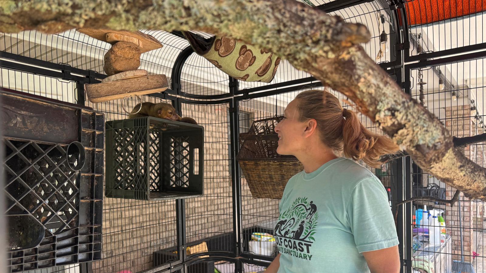 A Mississippi monkey sanctuary helps veterans with PTSD find peace