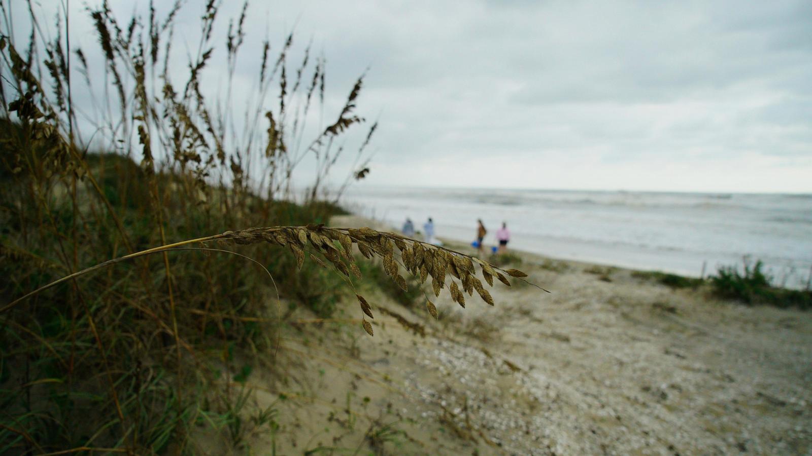 Beaches reopen in New York and North Carolina after Hurricane Erin