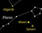 Starwatch: An almost full moon glides close to Saturn