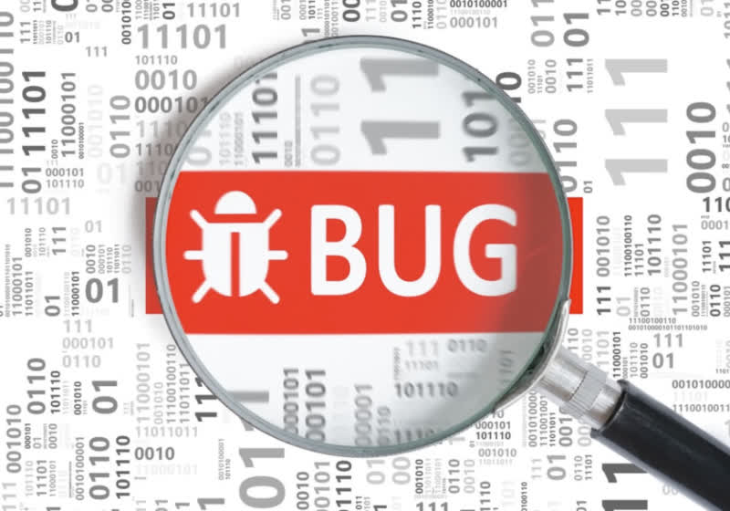 What was the first bug bounty program offered by a major tech company?