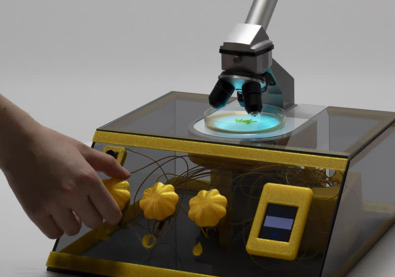 Slime mold meets encryption in a radical art experiment