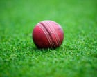 Former England cricketer investigated over sexual assault and spiking claims at pub owned by sports stars